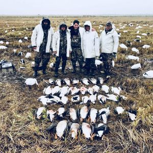 Meet your Posher, George